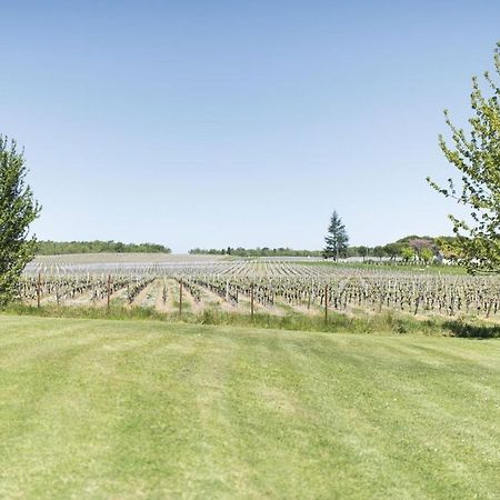 Domaine De Quittignan Brillette Hotel Moulis-en-Medoc Ngoại thất bức ảnh