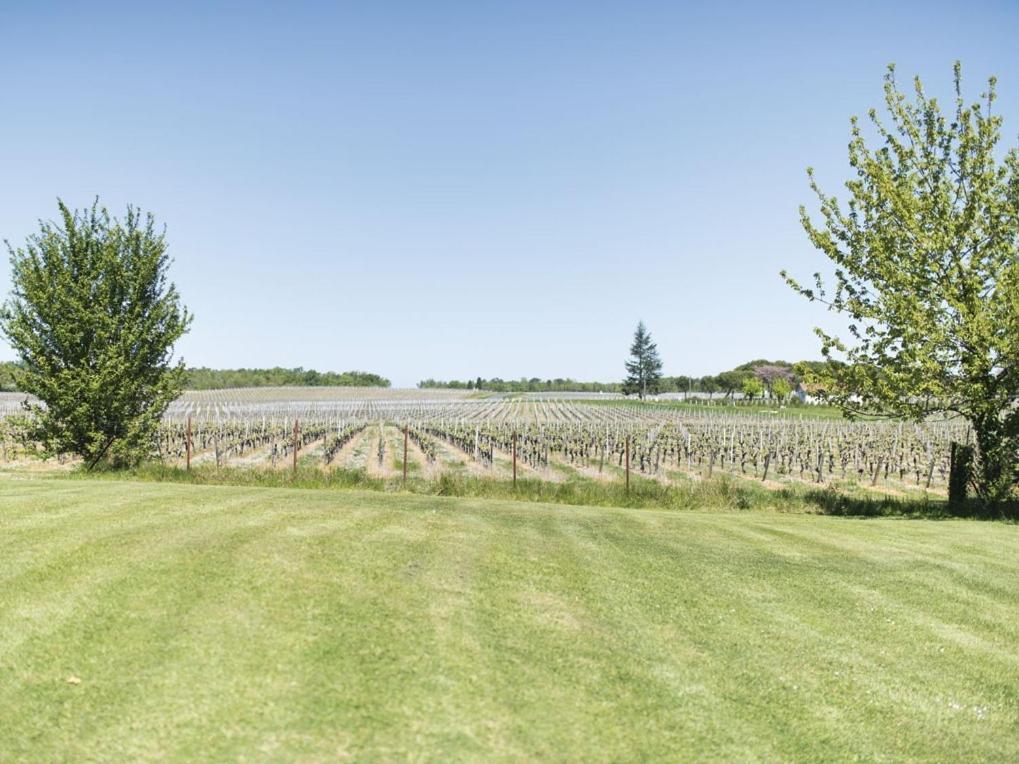 Domaine De Quittignan Brillette Hotel Moulis-en-Medoc Ngoại thất bức ảnh