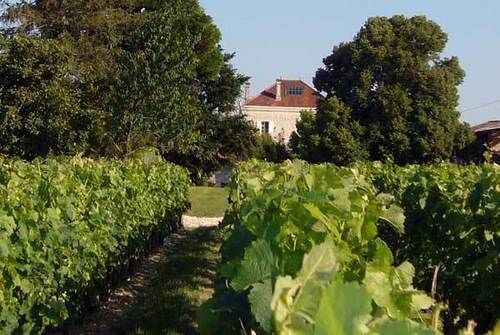Domaine De Quittignan Brillette Hotel Moulis-en-Medoc Ngoại thất bức ảnh